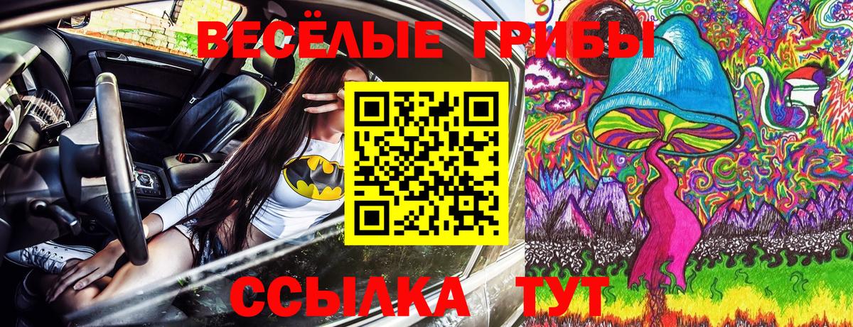 Назрань  Псилоцибиновые грибы Psilocybe  Вход с VPN 